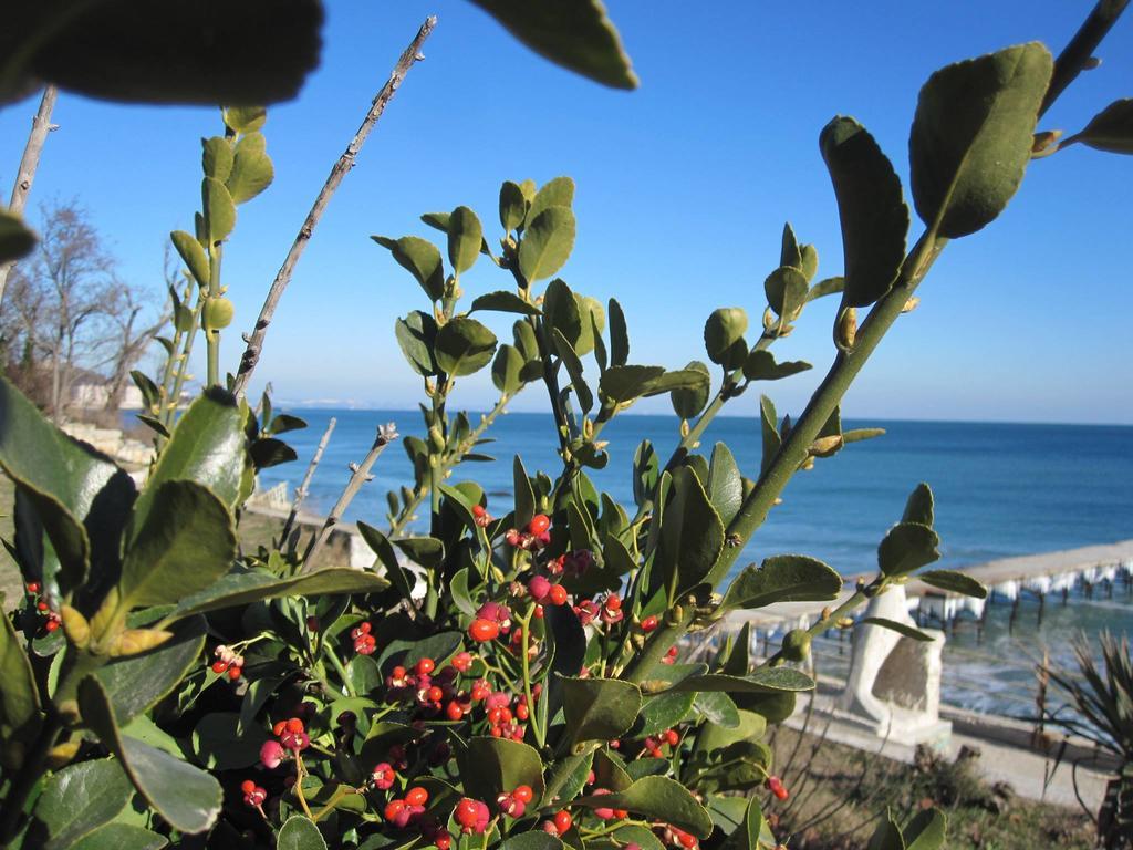 Apartcomplex Splendid Saints Constantine and Helena Esterno foto